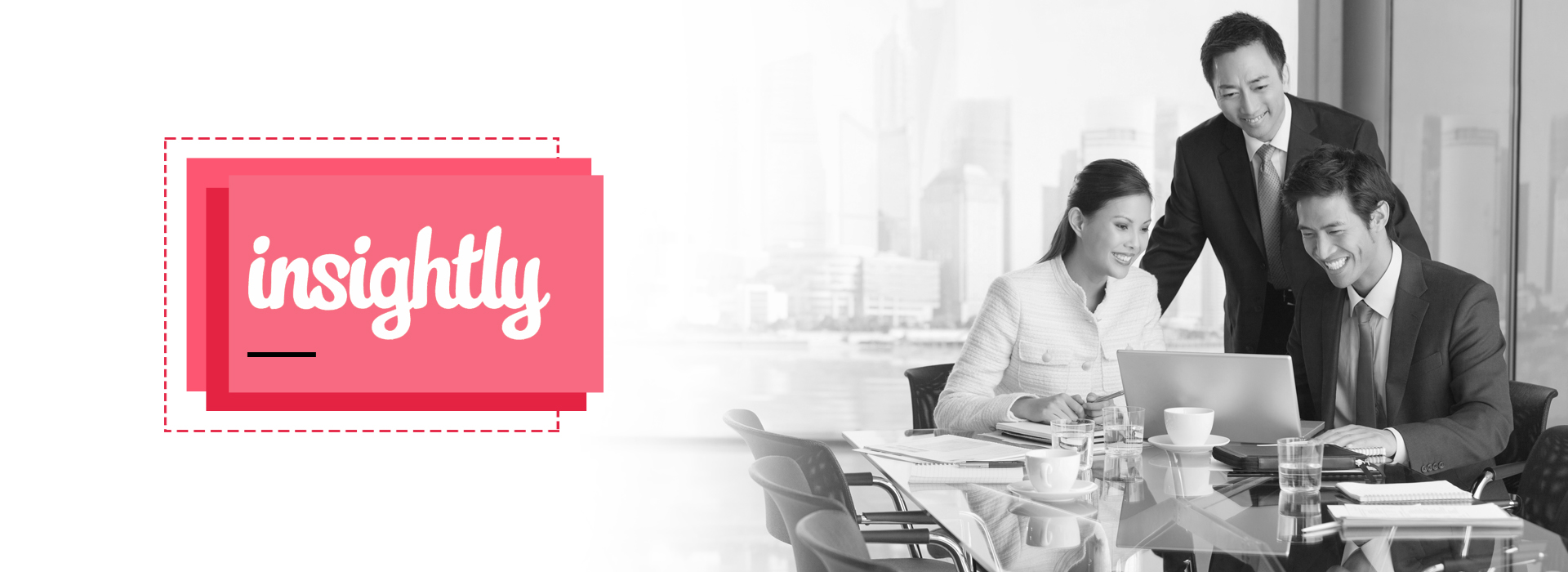 insightly brand