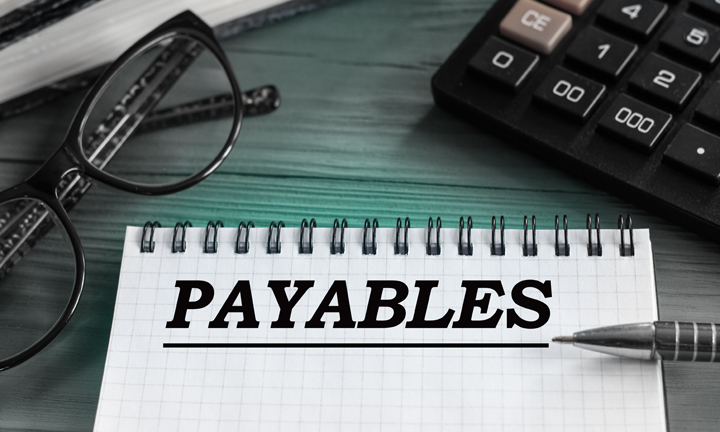 Zoho Books Payables