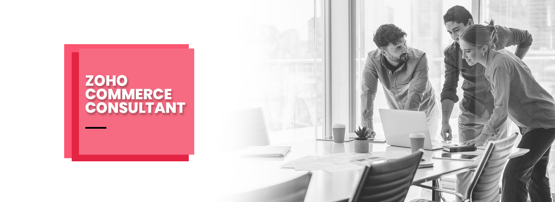 Zoho Commerce Consultant